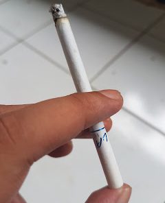 bataviacigars.com LA ice