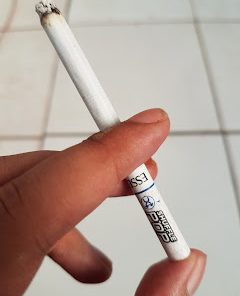 bataviacigars.com Esse Shuffle Pop