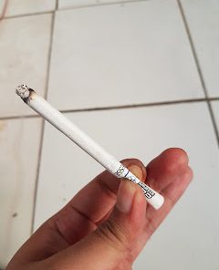 bataviacigars.com Esse Shuffle Pop