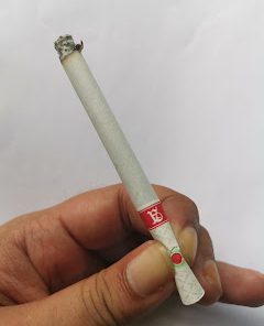 bataviacigars.com Sampoerna A Splash Tropical, SKM LTLN Pertama Dengan Fitur Kapsul Rasa Watermelon