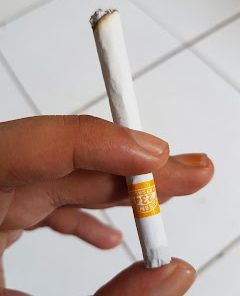 bataviacigars.com Dji Sam Soe