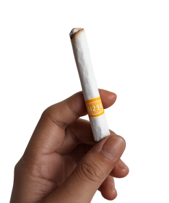 bataviacigars.com Dji Sam Soe